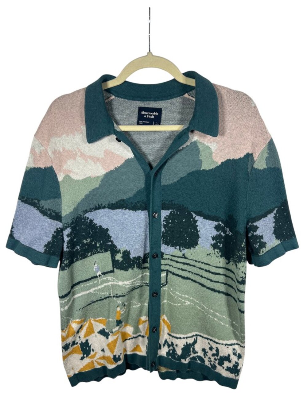 Abercrombie & Fitch Sweater Mens Large Scenic Tennis Knit Polo Country Club
